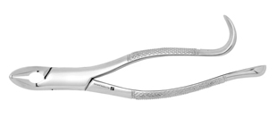 Extracting Forceps #85