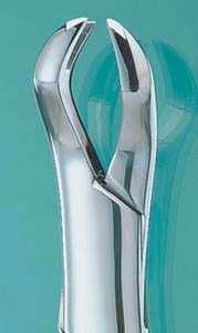 Extracting Forceps #88L