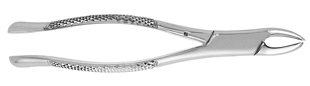 Extracting Forceps #89