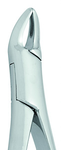 Extracting Forceps #150