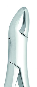 Extracting Forceps #151S