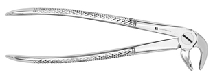 Extracting Forceps #MD3