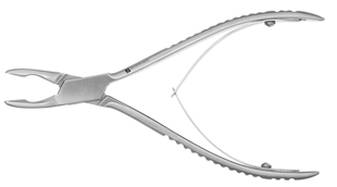 Rongeur #10 (1A) 6.5"