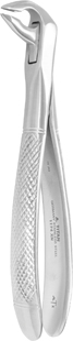 Apical Retention Forceps Lower