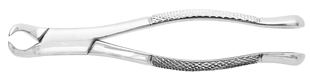 DHP Extracting Forceps #23