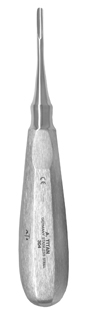 Root Elevator Medium Straight