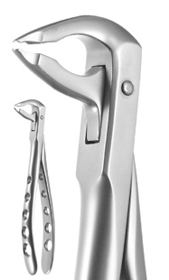 X-Trac Forceps Lower Anterior