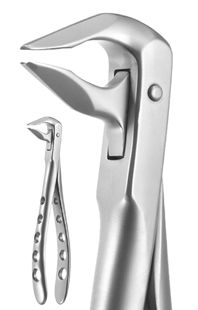 X-Trac Forceps Lower Anterior