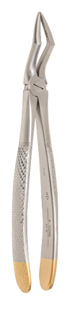 Extraction Forceps Upper