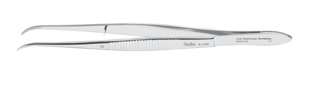 Dressing Forceps 6"