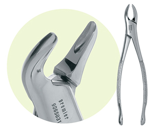 Extraction Forceps 151S