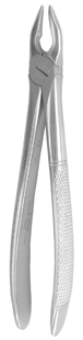 Apical Retention Forceps