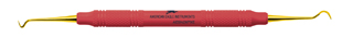 XP SQUARED Technology Scaler