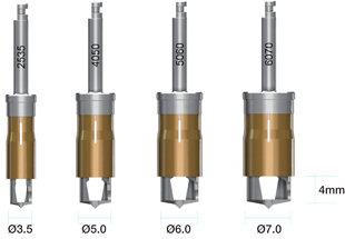 Megagen Implants Auto-Max