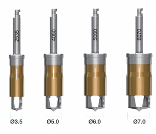 Megagen Implants Auto-Max