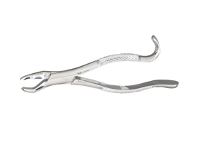 Extracting Forceps 150 1/2S