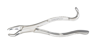 Extracting Forceps 151XAS