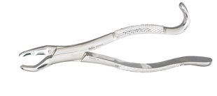 Extracting Forceps 16S