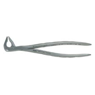 Extracting Forceps Xcision 36M