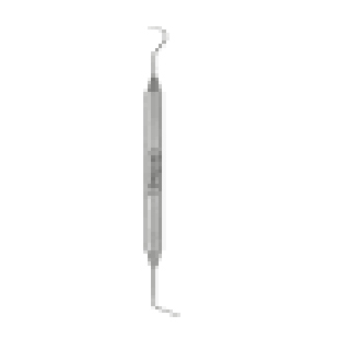 #DG16/23 Double Ended Endo
