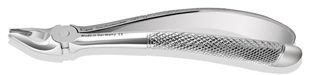Apical Retention Forceps #1107
