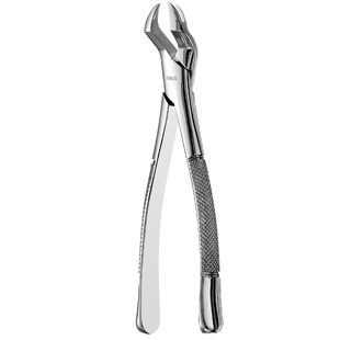 88L Nevius Upper Molar Left