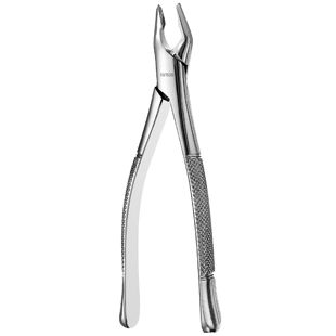 #150 Upper Universal Apical