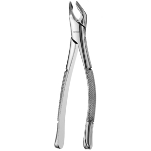 #151 Lower Universal Apical