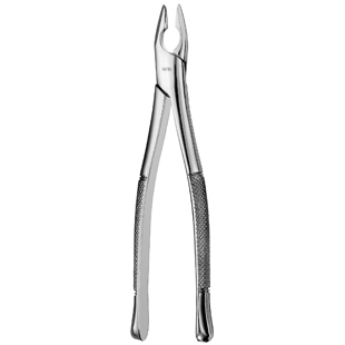Upper Anterior Apical IS