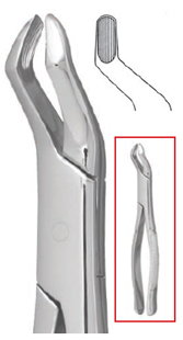 #10S Extraction Forceps