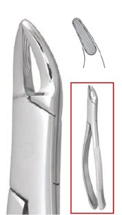 Cryer #150 Extraction Forceps