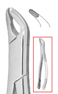 Cryer #151A Extraction Forceps