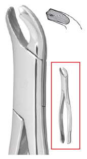 #17 Extraction Forceps