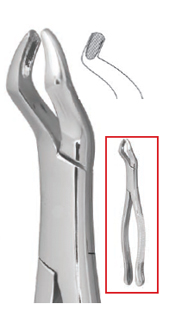 #210S Extraction Forceps