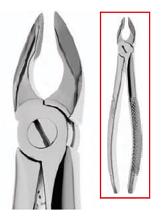 #34N Atraumatic Extraction