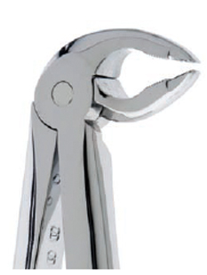 #38AX Extraction Forceps Deep