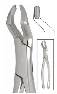 #53L Extraction Forceps