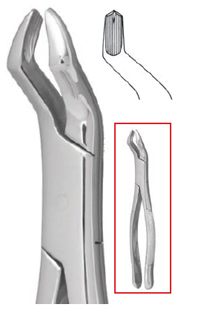 #53R Extraction Forceps