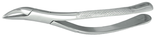 #69 Extraction Forceps