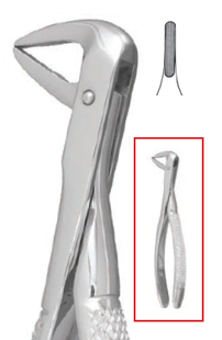 #74N Extraction Forceps