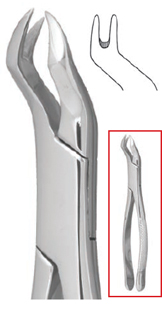Nevius #88R Extraction Forceps