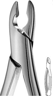 #99C Extraction Forceps