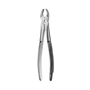 #1 European Style Forceps