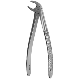 #4 European Forceps