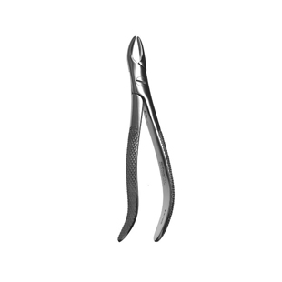 76S European Style Root