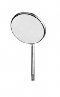 #5 Front Surface Simple Stem