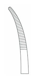 MeisterHand Kelly Forceps