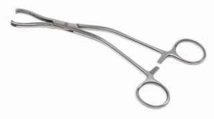 Osseous Macro Fixation