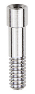 Integrity Abutment RH Screw