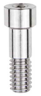 Integrity Abutment RH Screw